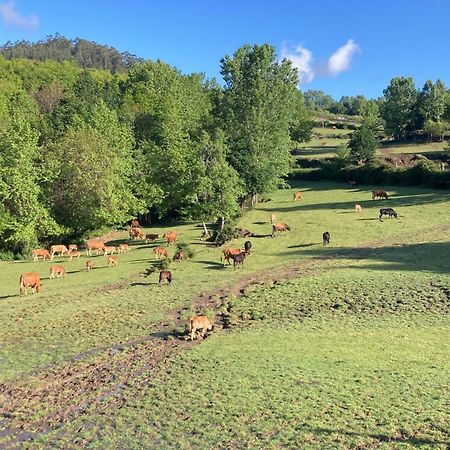 Quinta De Boucas Villa Cabeceiras de Basto Kültér fotó