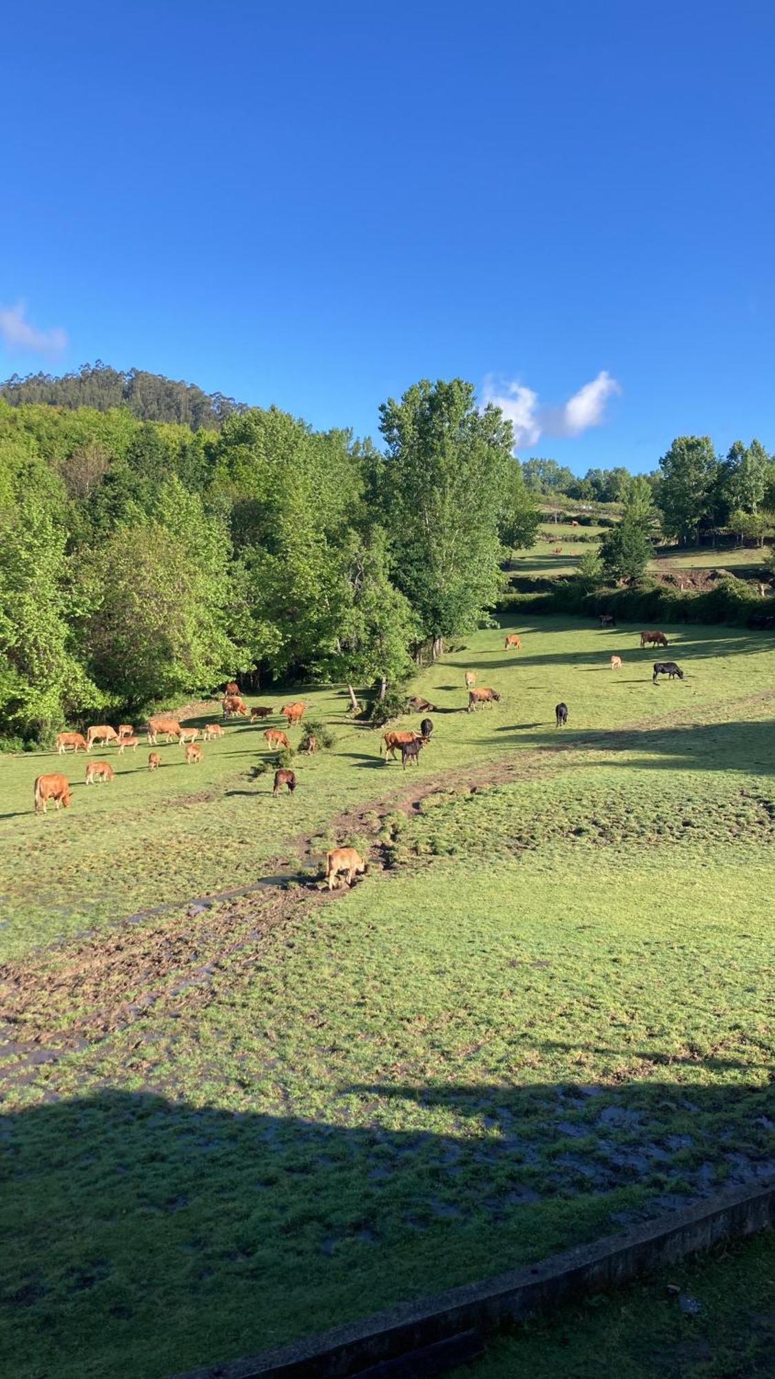 Quinta De Boucas Villa Cabeceiras de Basto Kültér fotó